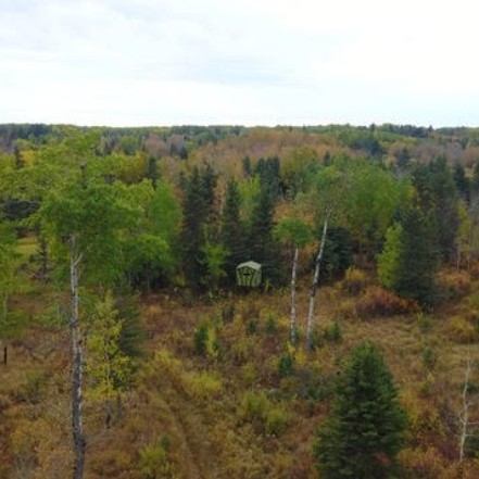 Natural openings and wooded terrain on the Echo Lake preserve