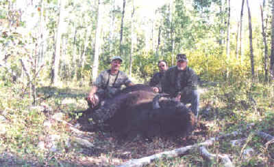 Darrell and Randy with a bison