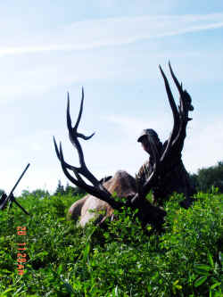 Harlyn Goebel from Texas with trophy elk at Echo Lake Hunts in Saskatchewan