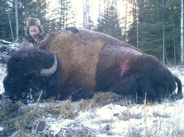 Joe Distefano from Texas with trophy bison at Echo Lake Hunts in Saskatchewan
