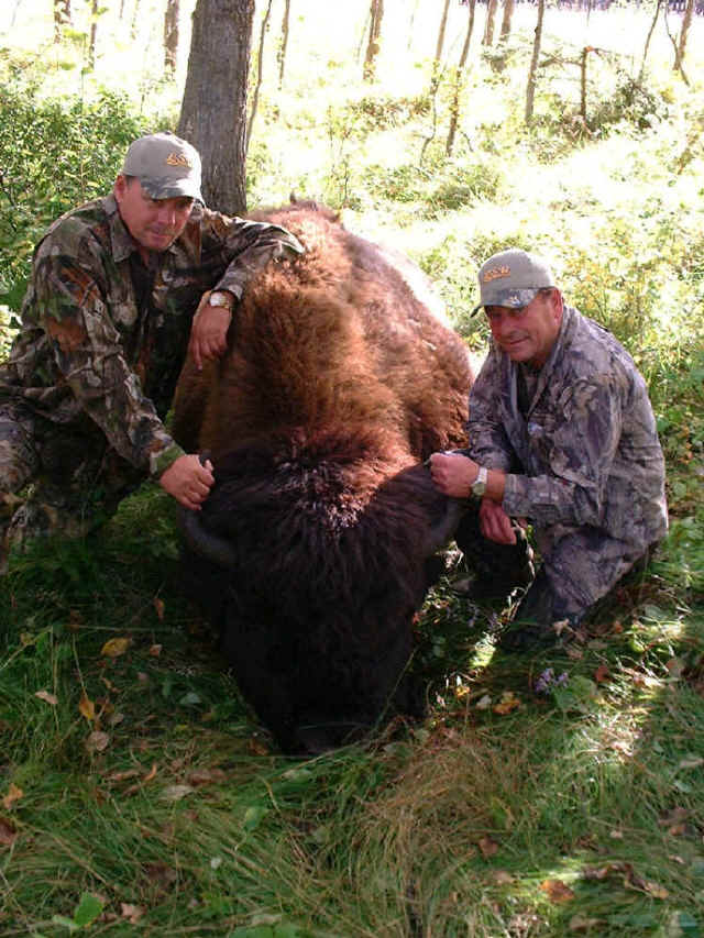 Earl and John with a big bison
