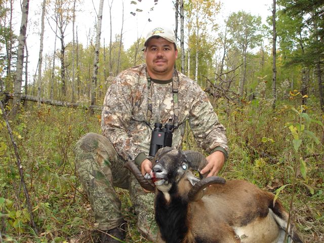Mitch Robinson from Nevada with trophy sheep at Echo Lake Hunts in Saskatchewan