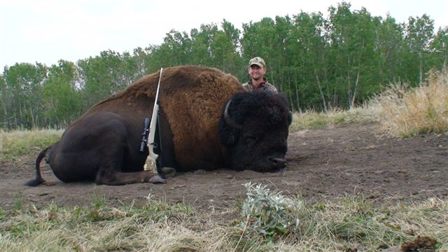 Tyler Lister from Oklahoma with trophy bison at Echo Lake Hunts in Saskatchewan