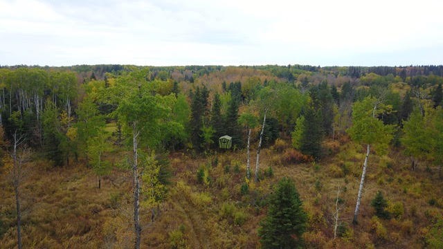 Tree stand after hunting elk in Saskatchewan Canada