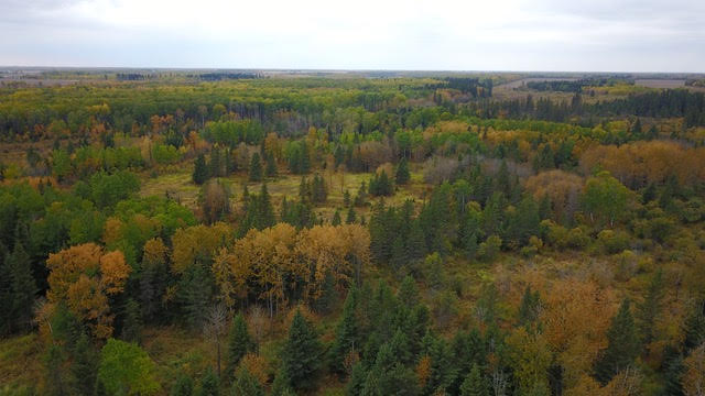 Echo Lake in fall after hunting elk in Saskatchewan Canada