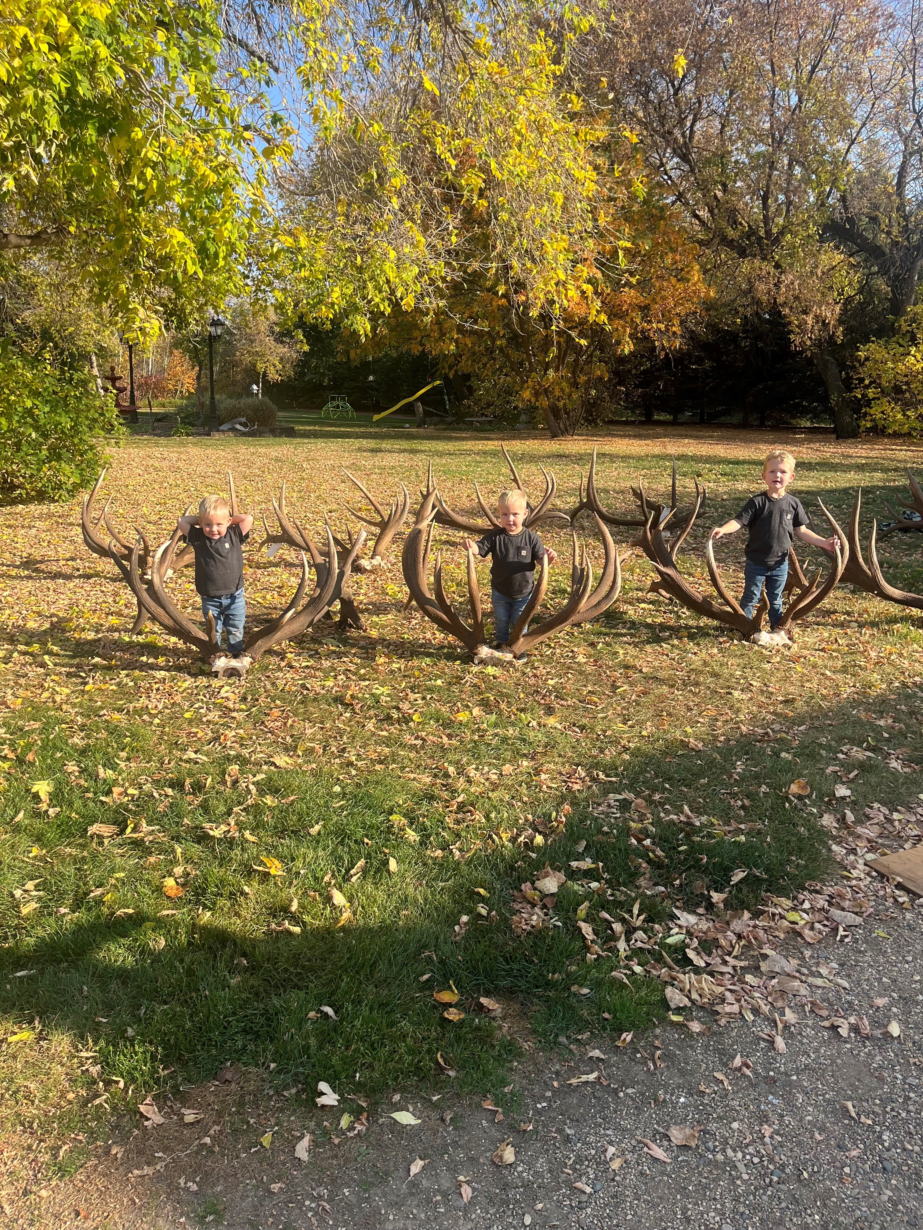 Training boys after hunting elk in Saskatchewan Canada