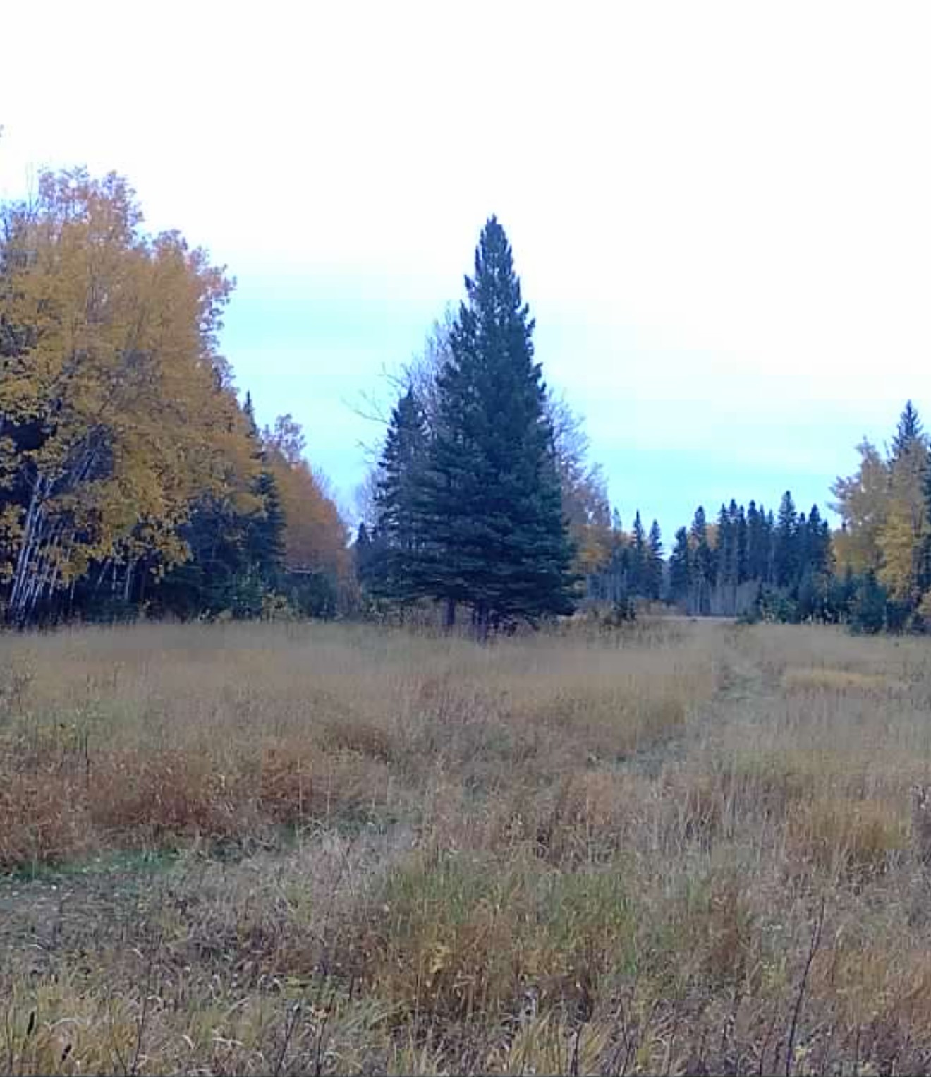 Beautiful autumn scenery at Echo Lake Hunts in Saskatchewan